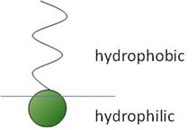 Scientific Setup