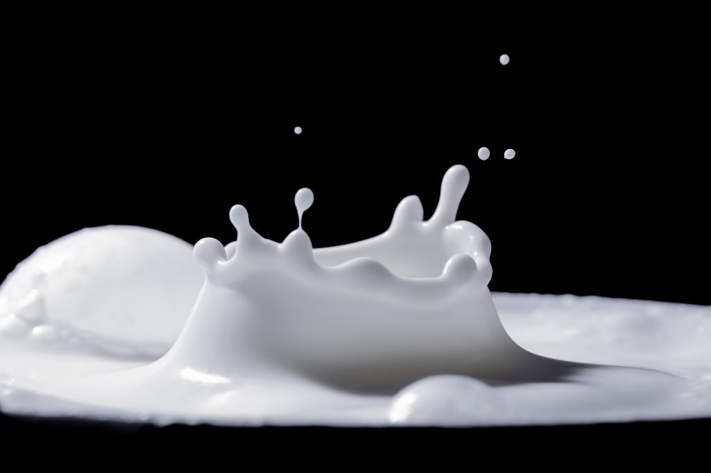 Dairy