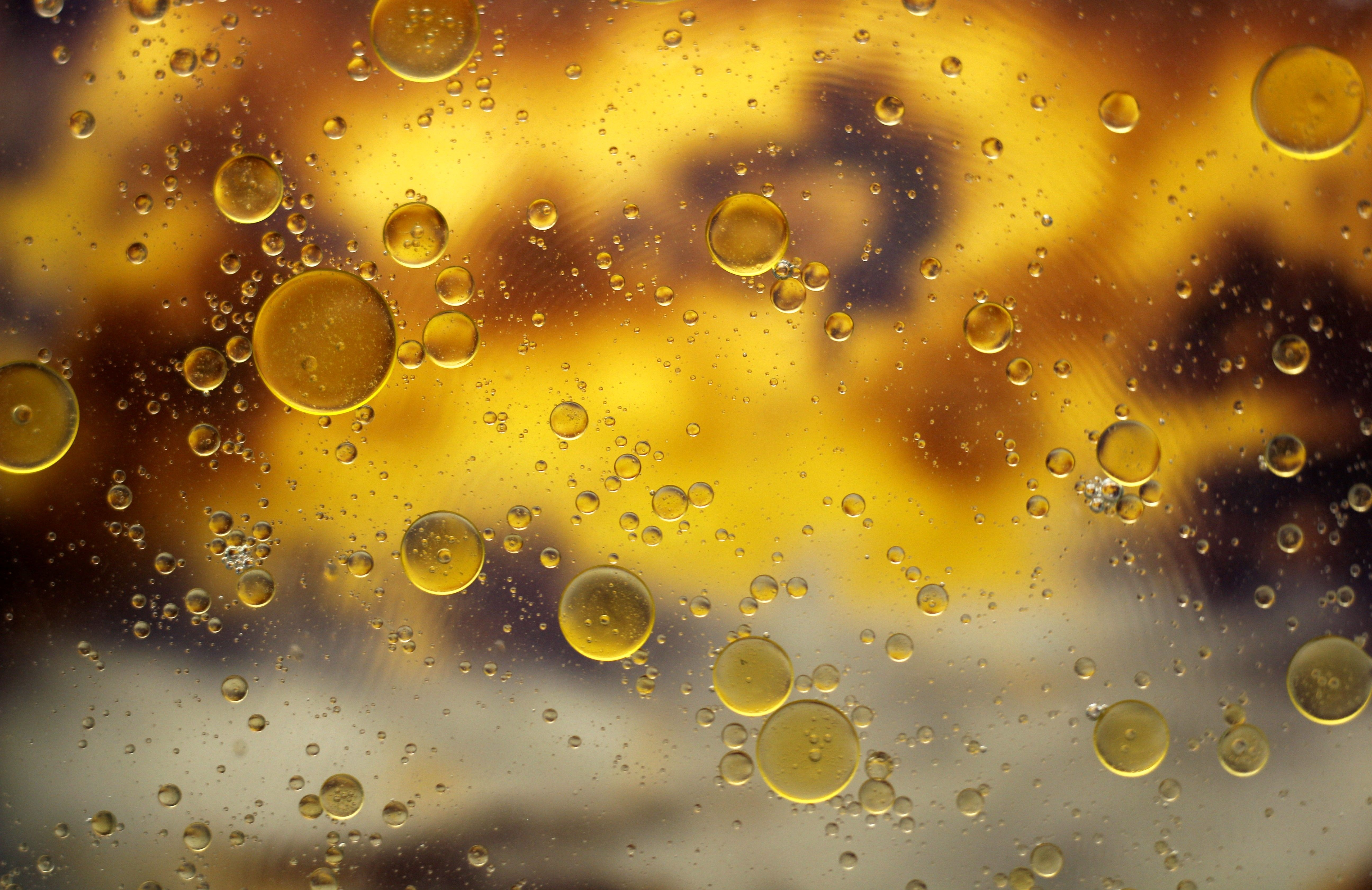 Drop and bubble coalescence