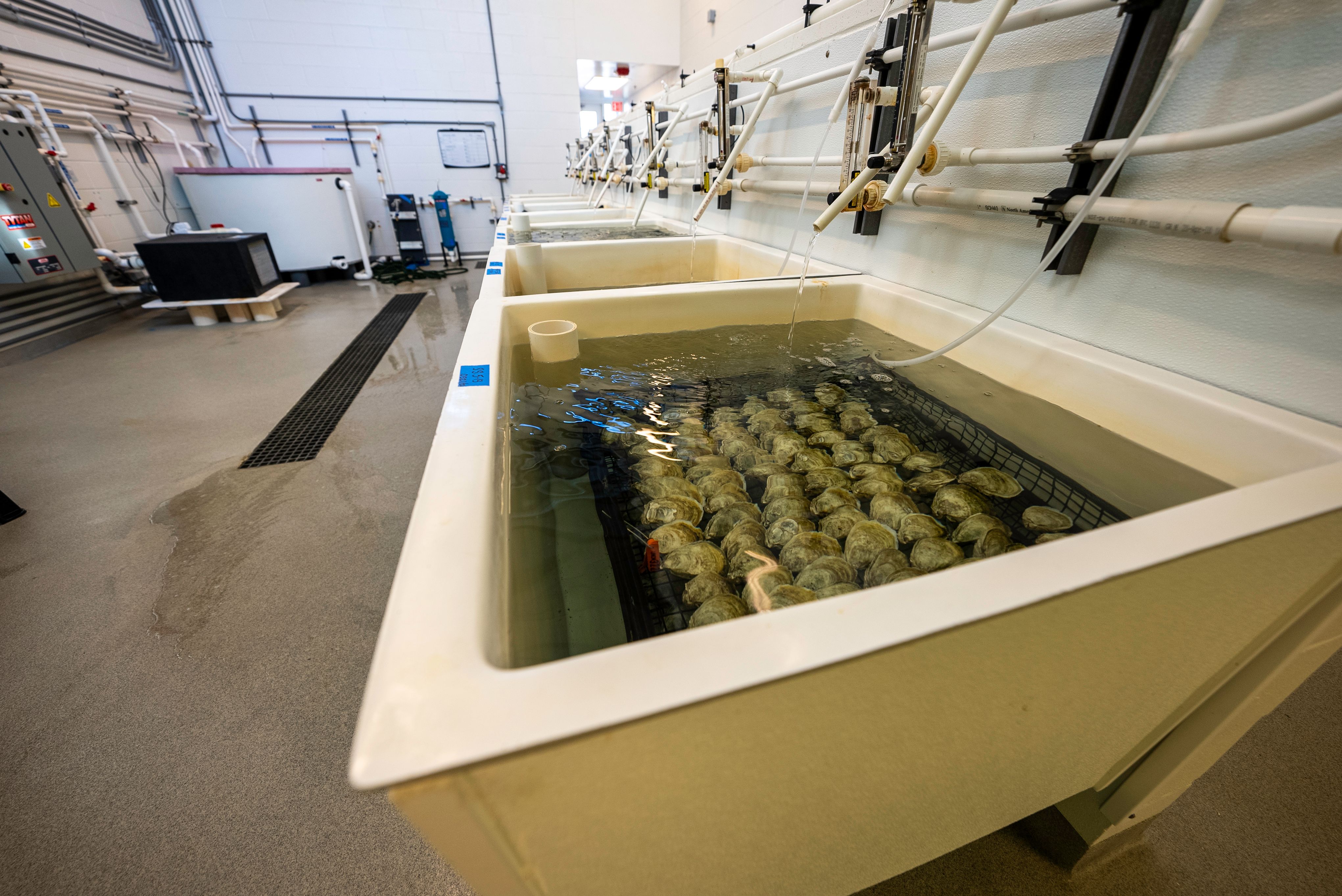 Electroplating bath analysis