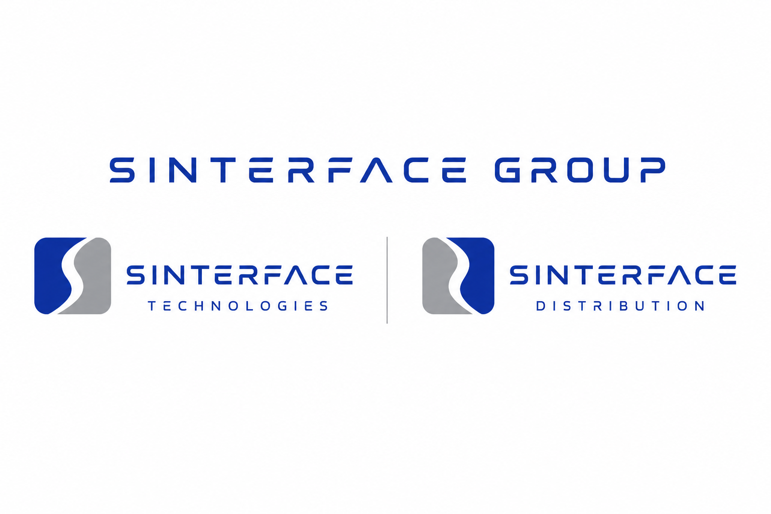 SINTERFACE Group