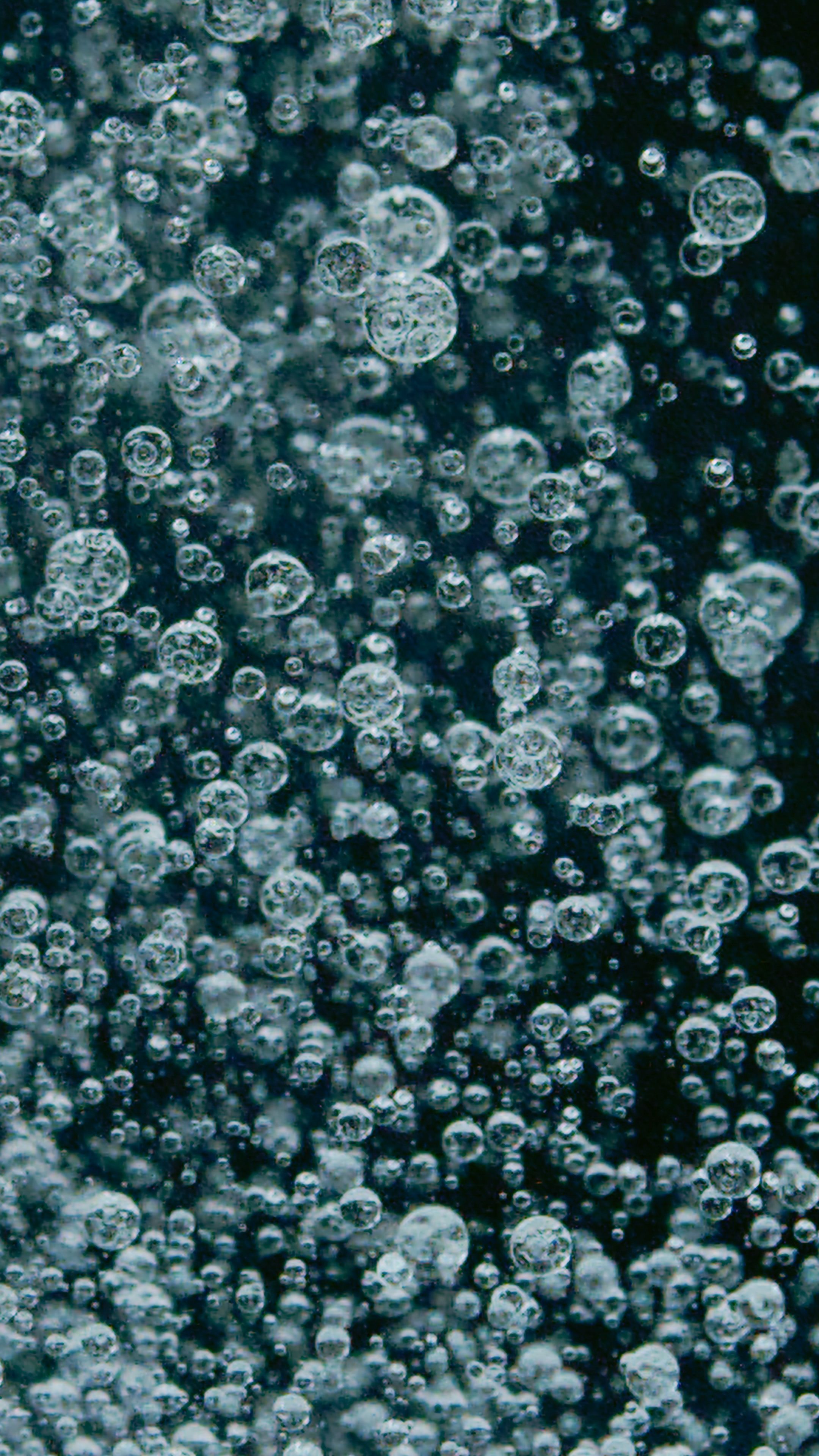 Bubbles in a liquid