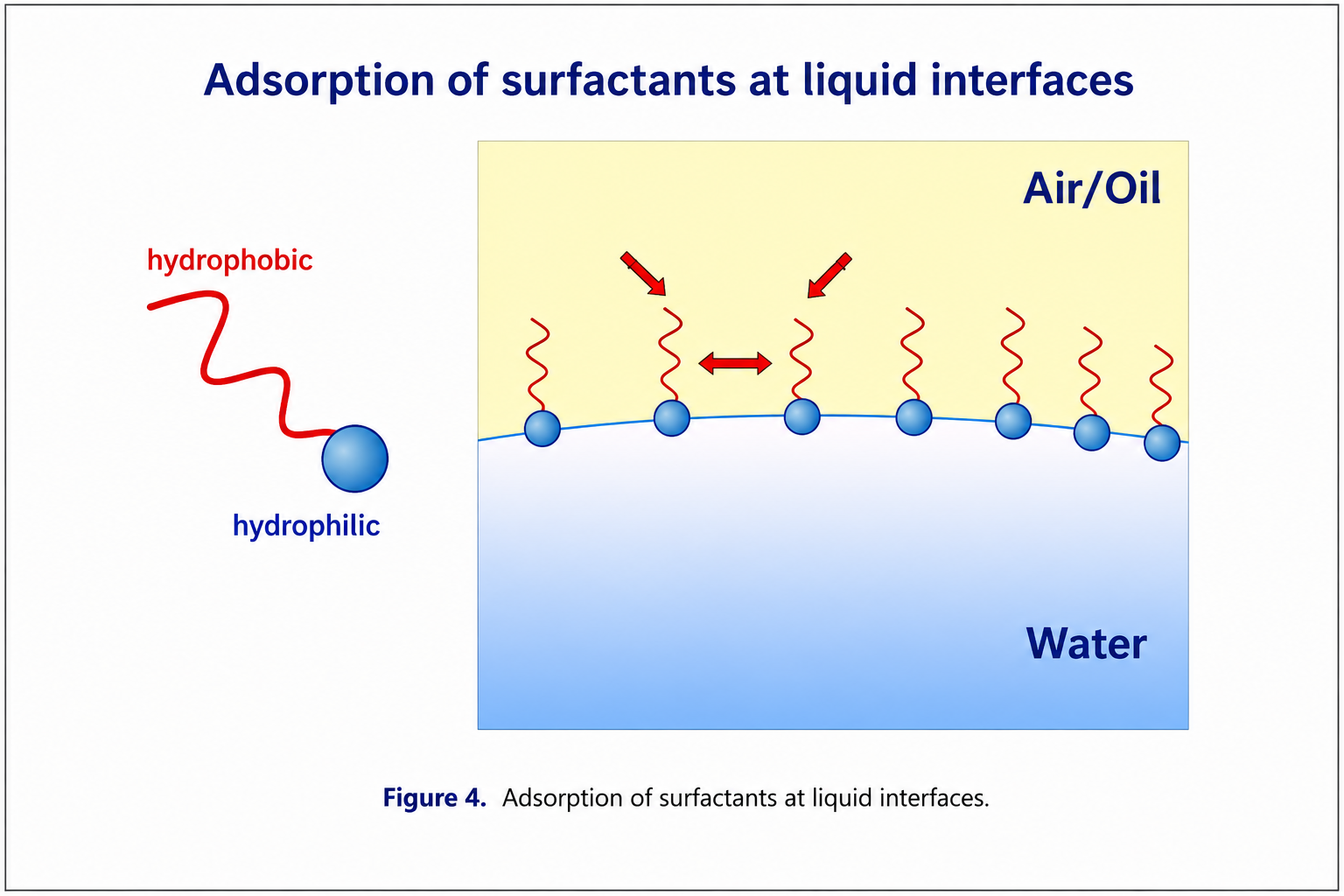 Molecular origin of surface tension showing balanced intermolecular forces in the bulk and an unbalanced inward force at the liquid surface.